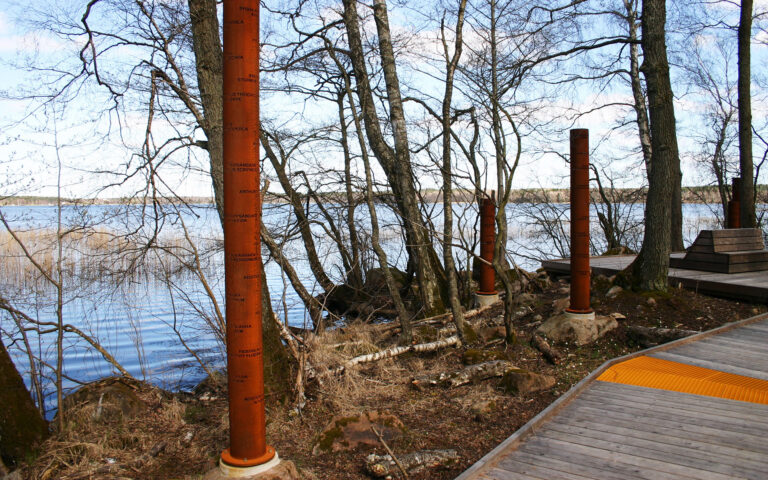 Flora and fauna in Corten tube